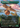 Birds of Paradise // Birds of Paradise - Secret Lair Drop / African Swallow (Borderless)