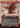 Dragonhawk, Fate's Tempest  (BLB-291) - Bloomburrow: (Showcase) (Borderless)