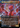 Niv-Mizzet, Parun (Anime Borderless) - Ravnica Remastered