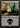 Swamp (104) (Bob Ross) - Secret Lair Drop