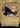 Aragorn, the Uniter (Showcase) - The Lord of the Rings: Tales of Middle-earth: (Showcase) (Borderless)