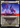 Prowling Felidar - Zendikar Rising: (Showcase)