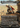 Ezio Auditore da Firenze (Borderless) - Assassin's Creed (Borderless)