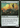 Wild Dogs - Dominaria Remastered