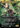 Savra, Queen of the Golgari (Anime Borderless) - Ravnica Remastered
