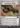 Contagion Engine  (OTP-061) - Breaking News: (Showcase) (Borderless)
