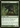 Darkthicket Wolf - Innistrad